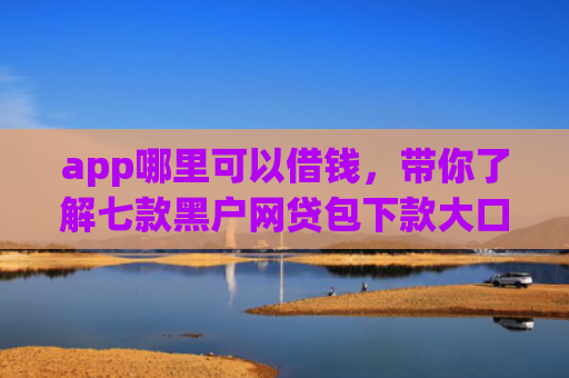 app哪里可以借钱，带你了解七款黑户网贷包下款大口子