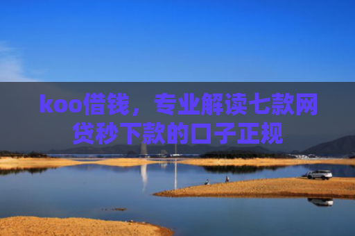 koo借钱，专业解读七款网贷秒下款的口子正规