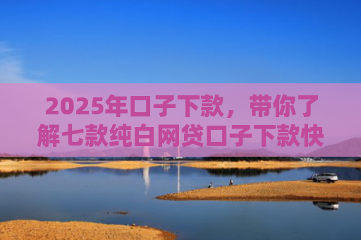 2025年口子下款，带你了解七款纯白网贷口子下款快