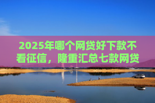 2025年哪个网贷好下款不看征信，隆重汇总七款网贷夜间下款的口子
