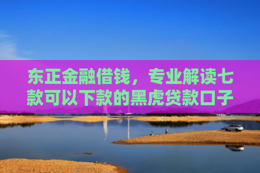 东正金融借钱，专业解读七款可以下款的黑虎贷款口子