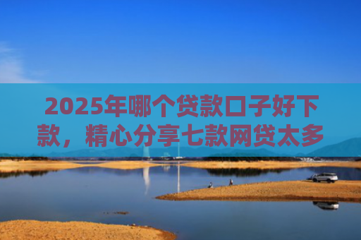 2025年哪个贷款口子好下款，精心分享七款网贷太多易下款口子