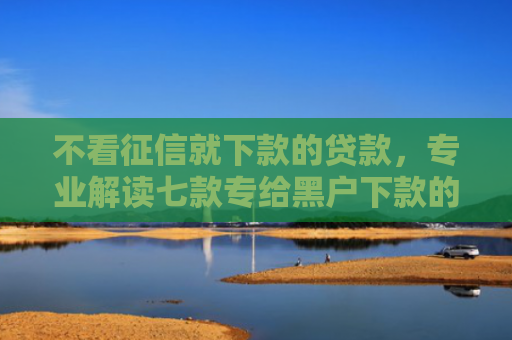 不看征信就下款的贷款，专业解读七款专给黑户下款的网贷口子