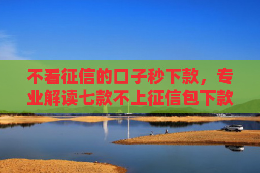不看征信的口子秒下款，专业解读七款不上征信包下款网贷口子