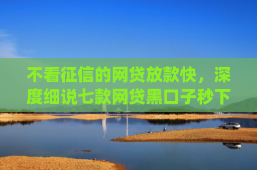 不看征信的网贷放款快，深度细说七款网贷黑口子秒下款app2025