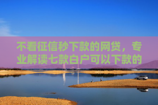 不看征信秒下款的网贷，专业解读七款白户可以下款的网贷口子