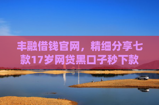 丰融借钱官网，精细分享七款17岁网贷黑口子秒下款app