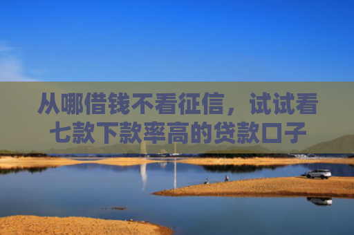 从哪借钱不看征信，试试看七款下款率高的贷款口子