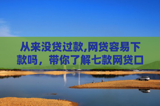 从来没贷过款,网贷容易下款吗，带你了解七款网贷口子好下款的平台有哪些