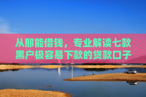 从那能借钱，专业解读七款黑户极容易下款的贷款口子