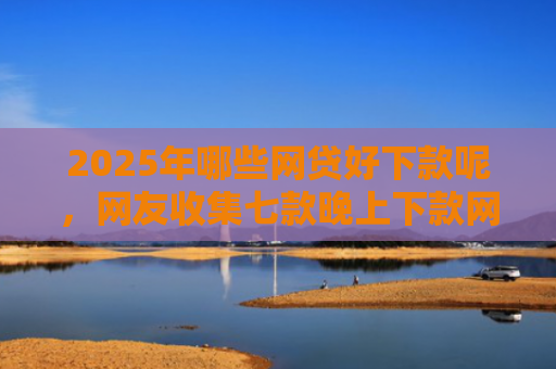 2025年哪些网贷好下款呢，网友收集七款晚上下款网贷口子