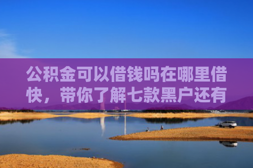 公积金可以借钱吗在哪里借快，带你了解七款黑户还有什么网贷下款