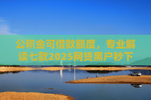 公积金可借款额度，专业解读七款2025网贷黑户秒下款