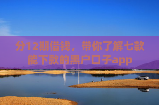 分12期借钱，带你了解七款能下款的黑户口子app