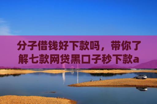 分子借钱好下款吗，带你了解七款网贷黑口子秒下款app入口