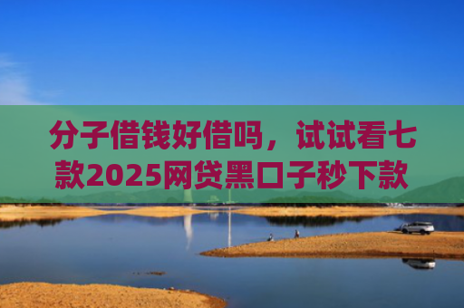 分子借钱好借吗，试试看七款2025网贷黑口子秒下款app