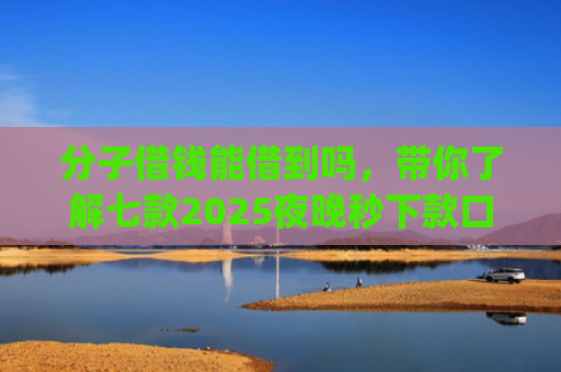 分子借钱能借到吗，带你了解七款2025夜晚秒下款口子app