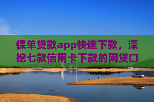保单贷款app快速下款，深挖七款信用卡下款的网贷口子