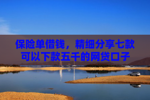 保险单借钱，精细分享七款可以下款五千的网贷口子