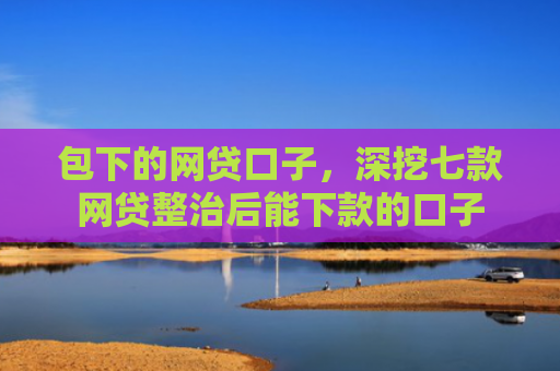 包下的网贷口子，深挖七款网贷整治后能下款的口子