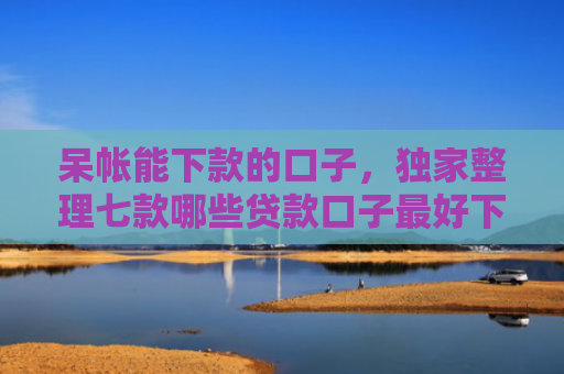 呆帐能下款的口子，独家整理七款哪些贷款口子最好下款