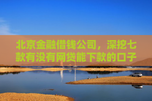 北京金融借钱公司，深挖七款有没有网贷能下款的口子