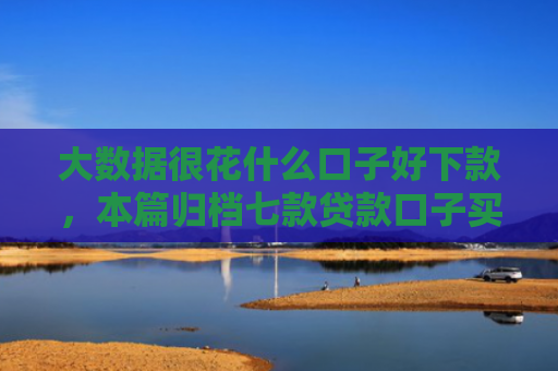 大数据很花什么口子好下款，本篇归档七款贷款口子买下款