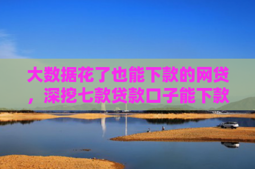 大数据花了也能下款的网贷，深挖七款贷款口子能下款