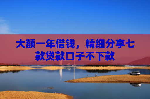 大额一年借钱，精细分享七款贷款口子不下款