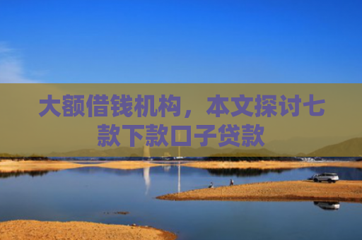 大额借钱机构，本文探讨七款下款口子贷款