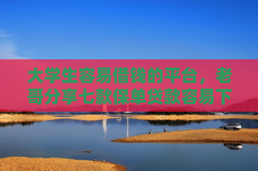 大学生容易借钱的平台，老哥分享七款保单贷款容易下款口子