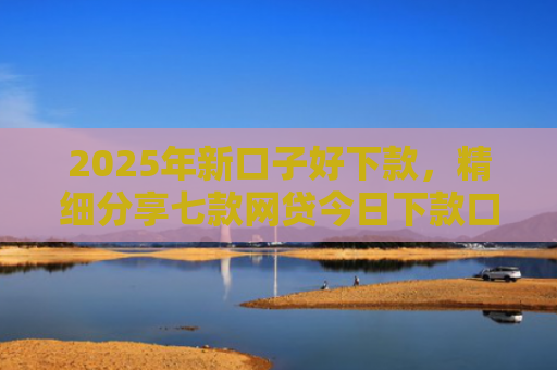 2025年新口子好下款，精细分享七款网贷今日下款口子