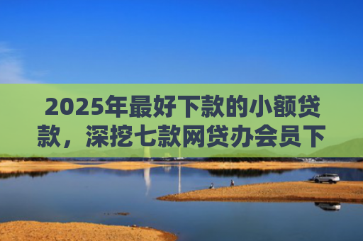 2025年最好下款的小额贷款，深挖七款网贷办会员下款口子