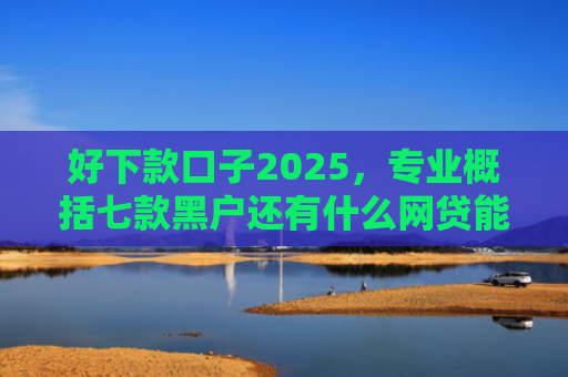 好下款口子2025，专业概括七款黑户还有什么网贷能下款