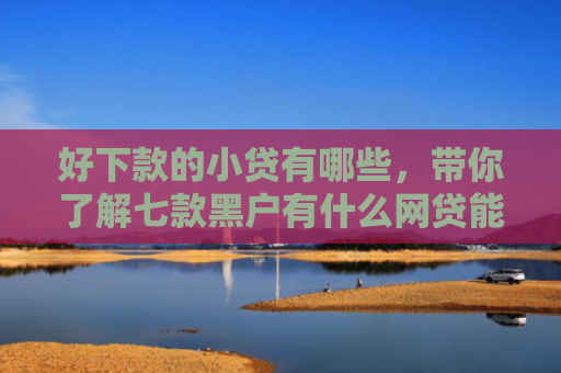 好下款的小贷有哪些，带你了解七款黑户有什么网贷能下款