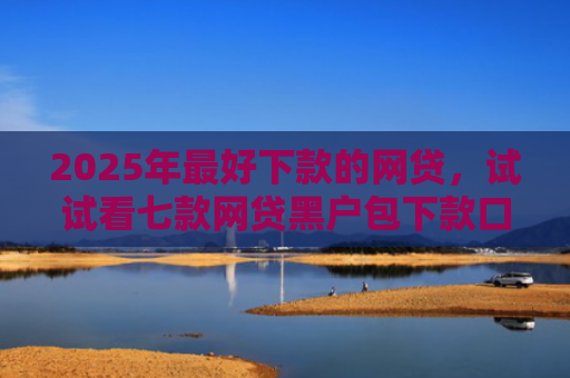 2025年最好下款的网贷，试试看七款网贷黑户包下款口子