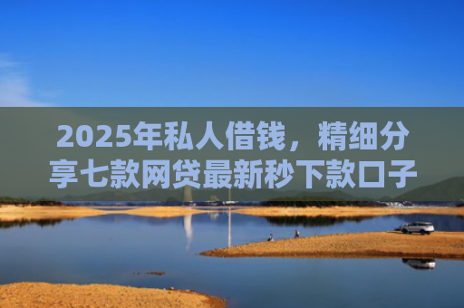 2025年私人借钱，精细分享七款网贷最新秒下款口子