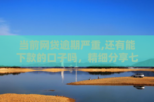 当前网贷逾期严重,还有能下款的口子吗，精细分享七款专科生秒下款贷款口子
