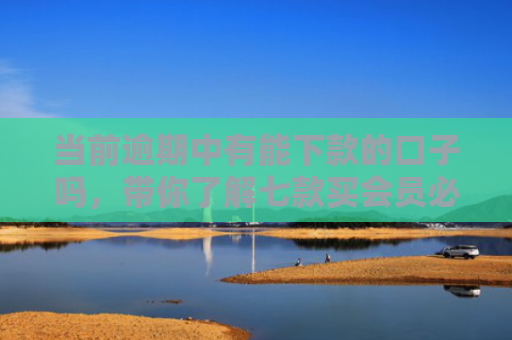 当前逾期中有能下款的口子吗，带你了解七款买会员必下款的贷款口子