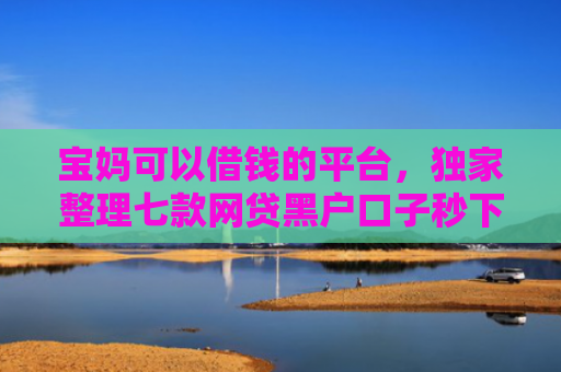 宝妈可以借钱的平台，独家整理七款网贷黑户口子秒下款了吗