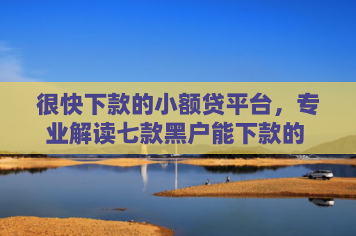 很快下款的小额贷平台，专业解读七款黑户能下款的 网贷口子