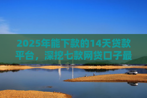 2025年能下款的14天贷款平台，深挖七款网贷口子最容易下款