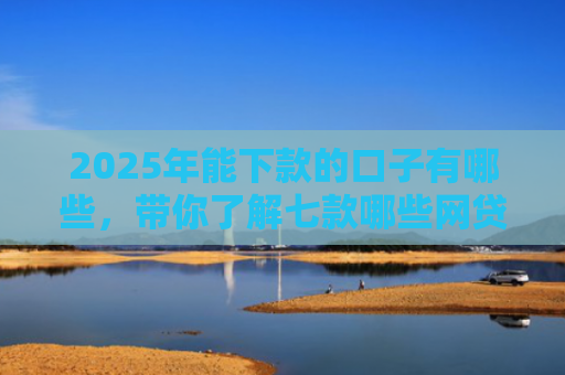 2025年能下款的口子有哪些，带你了解七款哪些网贷口子必下款
