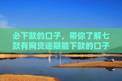 必下款的口子，带你了解七款有网贷逾期能下款的口子