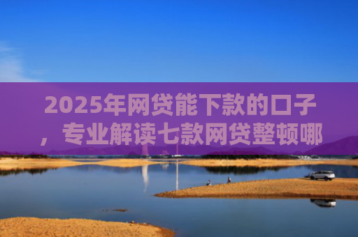 2025年网贷能下款的口子，专业解读七款网贷整顿哪些口子下款