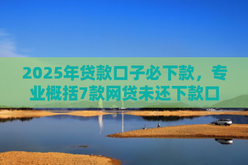 2025年贷款口子必下款，专业概括7款网贷未还下款口子