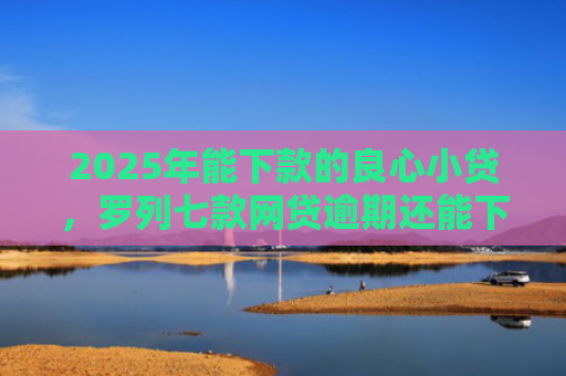 2025年能下款的良心小贷，罗列七款网贷逾期还能下款口子