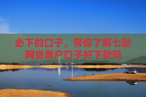 必下的口子，带你了解七款网贷黑户口子好下款吗