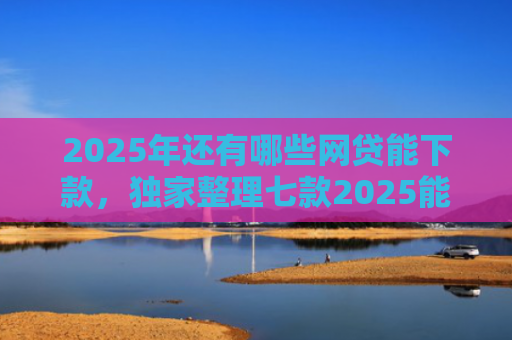 2025年还有哪些网贷能下款，独家整理七款2025能下款网贷口子