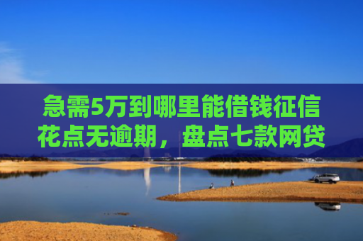 急需5万到哪里能借钱征信花点无逾期，盘点七款网贷黑户能下款是真的吗